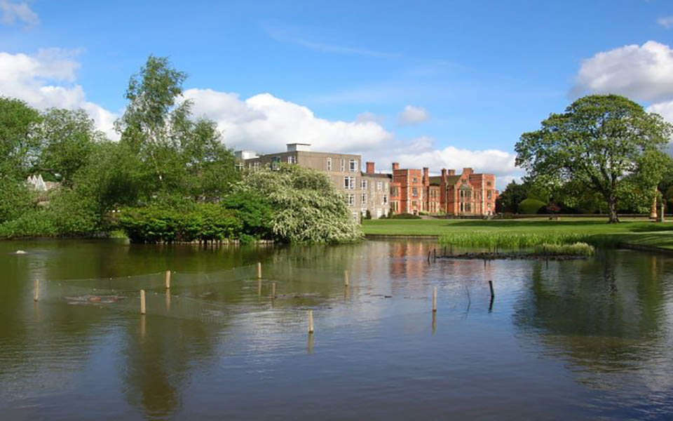约克大学